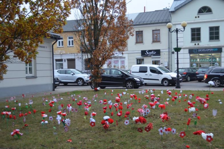 IV „Patriotyczny ogród” w Siedlcach