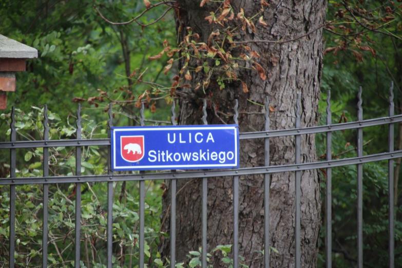 Sitkowskiego w kwiatach. Mieszkańcy Radzynia wspólnie zazielenili ulicę